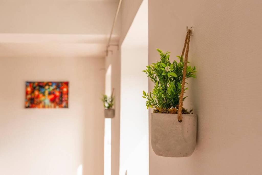 ❁La Pause Occitane❁ T3 Coeur De Ville Avec Parking Gaillac Exterior photo